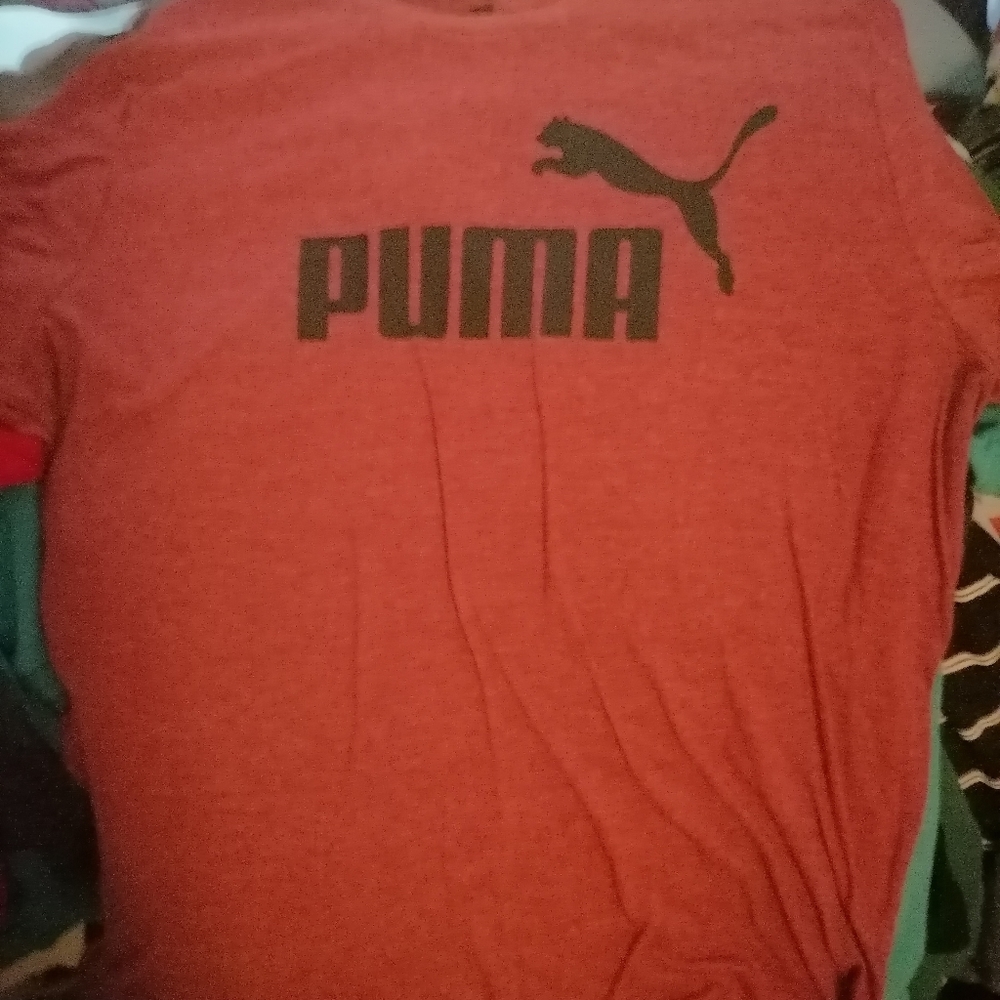 Puma